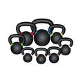 We R Sports® Premium Kettlebells 4kg To 48kg Home Gym Fitness Exercise Kettlebell Training (28 Kilograms)
