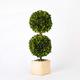 BoxwoodWorld potted preserved boxwood topiary green plant for home decor double ball shape 12 inch tall (Boxwood Leaves)