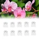 50Pcs Transparent 6 Claws Orchid Clips Plastic Butterfly Flowers Support Clear Fixer For Garden Vine