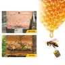 30ml Bienen köder Imkerei Schwarm Köder Honig Bienenstock Api cultura Köder Werkzeuge leicht zu