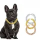 Collier de chien en plastique léger collier de chat JOBulldog accessoires pour animaux de