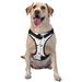 Coaee Doodle Cute Cat Dog Harnesses Vest No-Pull with Traction Rope for Small Medium and Large Dogs - Large