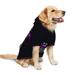 Hodgkin S Lymphoma Awareness Month In September We Wear Violet Dog Clothes Hoodie Pet Pullover Sweatshirts Pet Apparel Costume For Medium And Large Dogs Cats Large