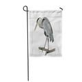 LADDKE Great Blue Heron Perching on Bird Branch Closeup Garden Flag Decorative Flag House Banner 12x18 inch