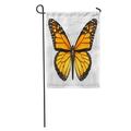 KDAGR Monarch Butterfly Open Wings in Top View As Flying Migratory Insect Butterflies That Represents Summer Garden Flag Decorative Flag House Banner 12x18 inch