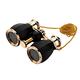 ESSLNB Opera Glasses Binoculars 4X30 Theatre binoculars with Chain and Case Optical Glass Womens binoculars For Theater Concert Women Gift