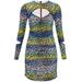 Multicolored Leopard Print Mesh Minidress