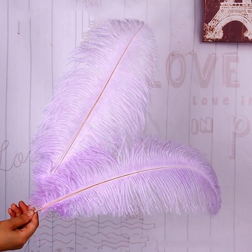 Karneval Hochwertige Straußfeder gefärbte große Straußfeder Tischlampe Wohnungsdekoration Bekleidungsgeschäft Dekorationen Hochzeitsfedern Weihnachtsgeschenk Image
