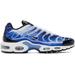 Blue Air Max Plus Og Sneakers