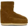 Brown Icon Low Nolace Boots