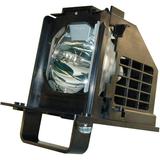 Compatible 915B441001 TV Replacement Lamp Module With Housing For By