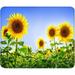 Mouse Pad Non-Slip Rubber Base Computer Mousepad Sunny Sunflower Customized Square Mouse Pads for Laptop Office Home & Gaming Superb Tracking Accuracy and Smooth Surface