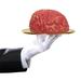 1pc Gory Bloody Fake Brain Horror Prank Halloween Prop Party Decoration P2B6