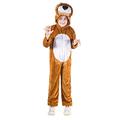 Child's Lion Costume Tween (Age 13-14)