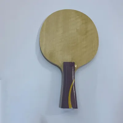 Lemuria Sun Ying Sha W968 Tischtennis klinge aus Kohle faser aus schnellem Angriff Ping-Pong-Fledermaus paddel mit langem Griff und Koffer Image