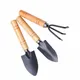 3pcs Mini Iron Garden Shovel Rake Spade for Flowers Potted Plant Gardening Tool Durable Wooden