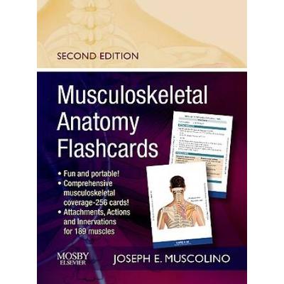 Musculoskeletal Anatomy Flashcards