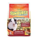 Higgins Sunburst Gourmet Blend Guinea Pig Food 25lb Bag