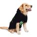 In May We Wear Green Mental Health Awareness Month Dog Clothes Hoodie Pet Pullover Sweatshirts Pet Apparel Costume For Medium And Large Dogs Cats Large