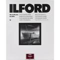 Ilford Multigrade V RC Portfolio Paper (Pearl, 16 x 20", 10 Sheets) 1181663