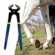 Horse Hoof Trimmer Horse Farrier Tool Metal Structure Goat Hoof Trimming Shear Hoof Nippers for