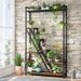 17 Stories Rectangular Etagere Plant Stand Wood/Metal/Manufactured Wood in Brown | 70.9 H x 41.3 W x 11.8 D in | Wayfair