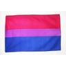 AZ FLAG Bandiera Arcobaleno BISESSUALE 150x90cm - Bandiera BISESSUALITÀ – Rainbow Flag 90 x 150 cm