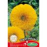 Germisem Giant Double Semi di Girasole 2 g