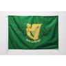 AZ FLAG Bandiera Irlanda Erin Go Bragh 90x60cm per Esterno - Bandiera Irlandese 60 x 90 cm