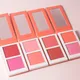 2-Color Matte Peach Powder Blush Palette Blendable Long-Lasting Non-Fading Cheek Tint Portable