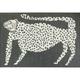 Hand Knotted Hand Tufted Leopard Tiger Rug Tufted Wool Rug 2x3 3x5 4x6 5x8 6x9 7x10 8x10 9x12 Olive Green Colored Traditional Tiger