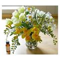 bloom Artificial Joy of Spring Tulips Narcissus Flower Arrangement - Faux Flowers That Look Real, Mothers Day Or Wedding Flowers, Artificial Spring Silk Flowers, Artificial Foliage, Vase Included