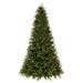 Vickerman 5.5' x 45" Douglas Fir Artificial Pre-Lit Christmas Tree, Warm White LED Mini Lights. - 5.5' x 45"