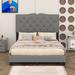 Red Barrel Studio® Himel Modern Velvet Platform Bed w/ Tufted Headboard Metal in Gray | 47.5 H x 58.2 W x 81.1 D in | Wayfair