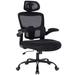 Latitude Run® Leonina Ergonomic Mesh Office Chair w/ 3D Adjustable Lumbar Supportand Flip-Up Armrest Upholstered in Black | Wayfair