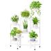 Arlmont & Co. 8 Tier Plant Stand Indoor Outdoor, Foldable Corner Tall Plant Stand For Multiple Plants, Black | 32.2 H x 28.7 W x 14.2 D in | Wayfair