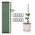 10Pcs Plant Support Stakes 12 Inch Green Plant Sticks With Adjustable Retaining Ring Indoor Outdoor