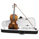 Acoustic Violin With Bow Rosin Carrying Box Solid Wood Basswood Violin For Orchestra Concert Band