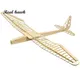 RC Plane Laser Cut Balsa Wood Airplanes sunbird 2017 motor glider Wingspan 1600mm Balsa Wood Model