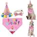 Cat Birthday Party Supplies: Cake Banner Sparkle Hat Cotton Bib - Cute Theme Party for Cats and Small Dogs