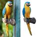 Zynic Card Slot -d Garden Outdoor Parrot Ornament Macaws Resin Decor Lifelike Yard Statue Patio & Garden Home & Garden