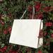 Anthropologie Other | New White Anthropologie Shopping Bag | Color: White | Size: Os