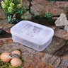 12 Grids Reptile E-egg Incubation Tray Tray Gecko Lizard Snake Eggs Incubation Insect Keeping Box