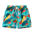 Summer Swimming Trunks For Boy Kids Swimwear Beach Shorts For Girls Boy Swimsuit Children's Swimming