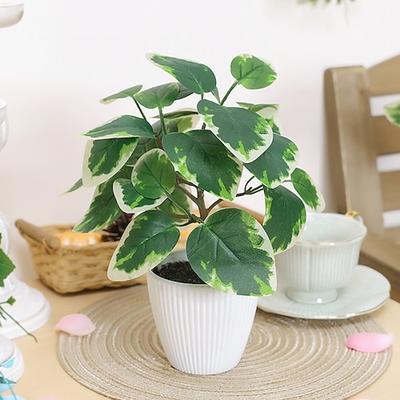 Améliorez la décoration de votre maison avec des plantes en pot d'eucalyptus réalistes, ajoutant une touche verte rafraîchissante à votre espace de vie.