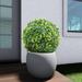 Inc 11 Sempreverde Geeen Topiary Faux Boxwood 3 Pieces Faux Leaf Topiary Artificial Plant Indoor Outdoor Decor-Garden Backyard Decoration