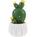 Qumonin Artificial Cactus Plant Artificial Potted Succulent Living Room Fake Flower Faux Plant Plastic Cactus