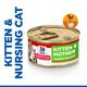 24x85g Chicken & Turkey Tender Mousse Kitten & Mother Science Plan Hill's Wet Cat Food