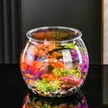 Filles à Poissons Rond en Plastique Incassable Vases Précieux pour Aquarium Globe Transparent