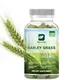 Organic Barley Grass Pill Rich in Immune Vitamins Fiber Minerals Antioxidants and Proteins Help